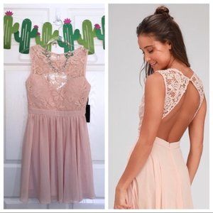NWT Lulu’s Blush Pink Lace Open Back Party Dress